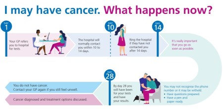 graphic showing patient information following urgent suspected cancer referral. All information on graphic is on webpage